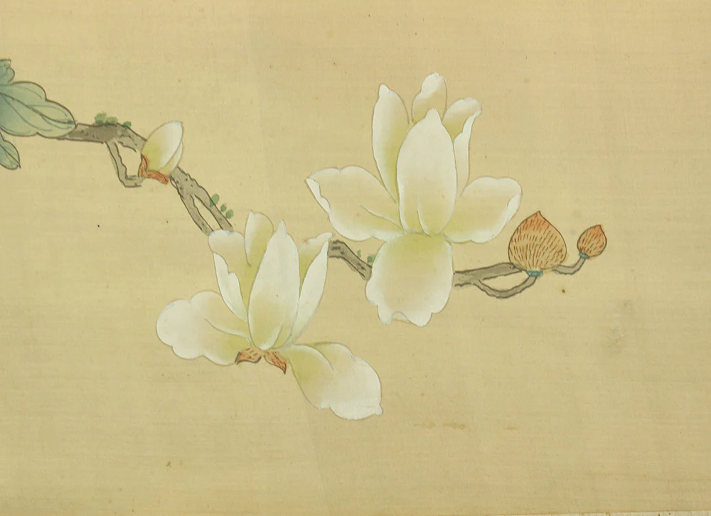 Chinese art kakejiku kakemono wall hanging scroll / Magnolias, Peonies and Butterfly RD206 - Image 13