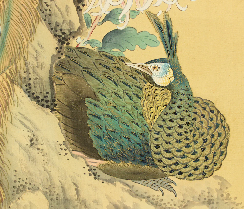 松僊 Shosen Japanese art kakejiku kakemono wall hanging scroll / Two Peafowls Peacock Large and Small Chrysanthemums RC152 - Image 11