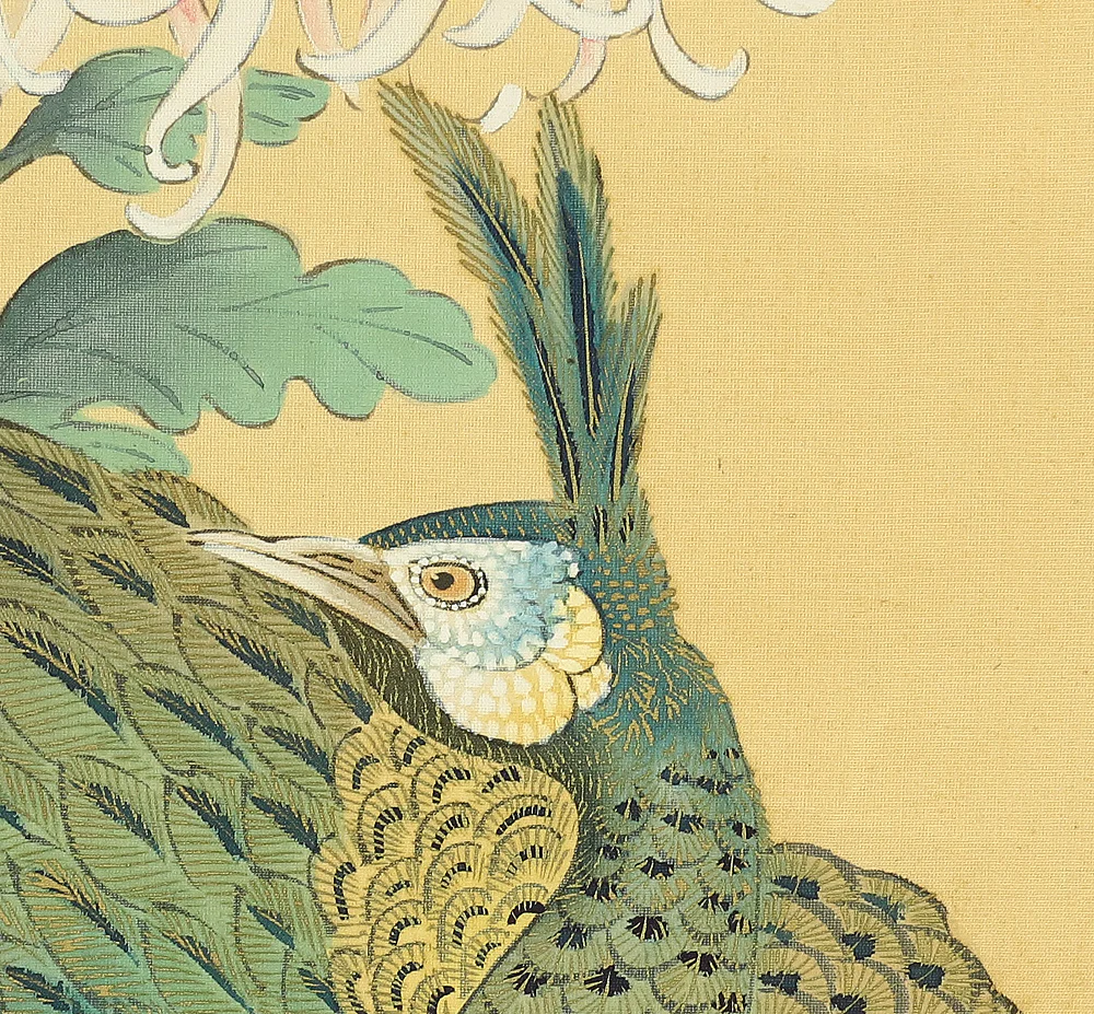 松僊 Shosen Japanese art kakejiku kakemono wall hanging scroll / Two Peafowls Peacock Large and Small Chrysanthemums RC152 - Image 12