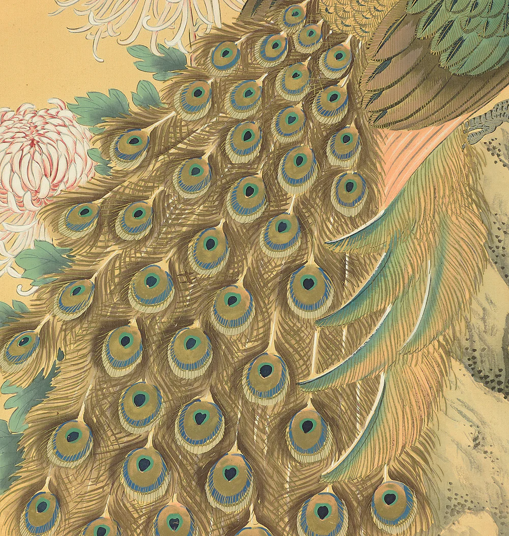 松僊 Shosen Japanese art kakejiku kakemono wall hanging scroll / Two Peafowls Peacock Large and Small Chrysanthemums RC152 - Image 14