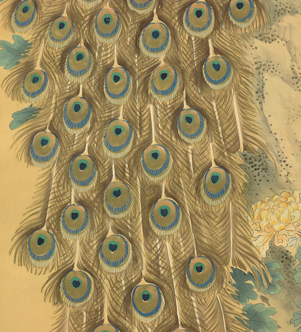 松僊 Shosen Japanese art kakejiku kakemono wall hanging scroll / Two Peafowls Peacock Large and Small Chrysanthemums RC152 - Image 15
