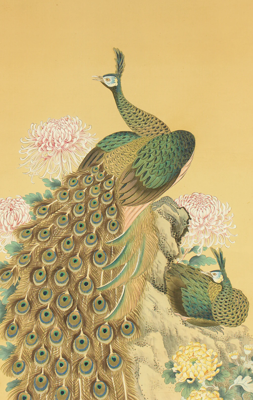 松僊 Shosen Japanese art kakejiku kakemono wall hanging scroll / Two Peafowls Peacock Large and Small Chrysanthemums RC152 - Image 4