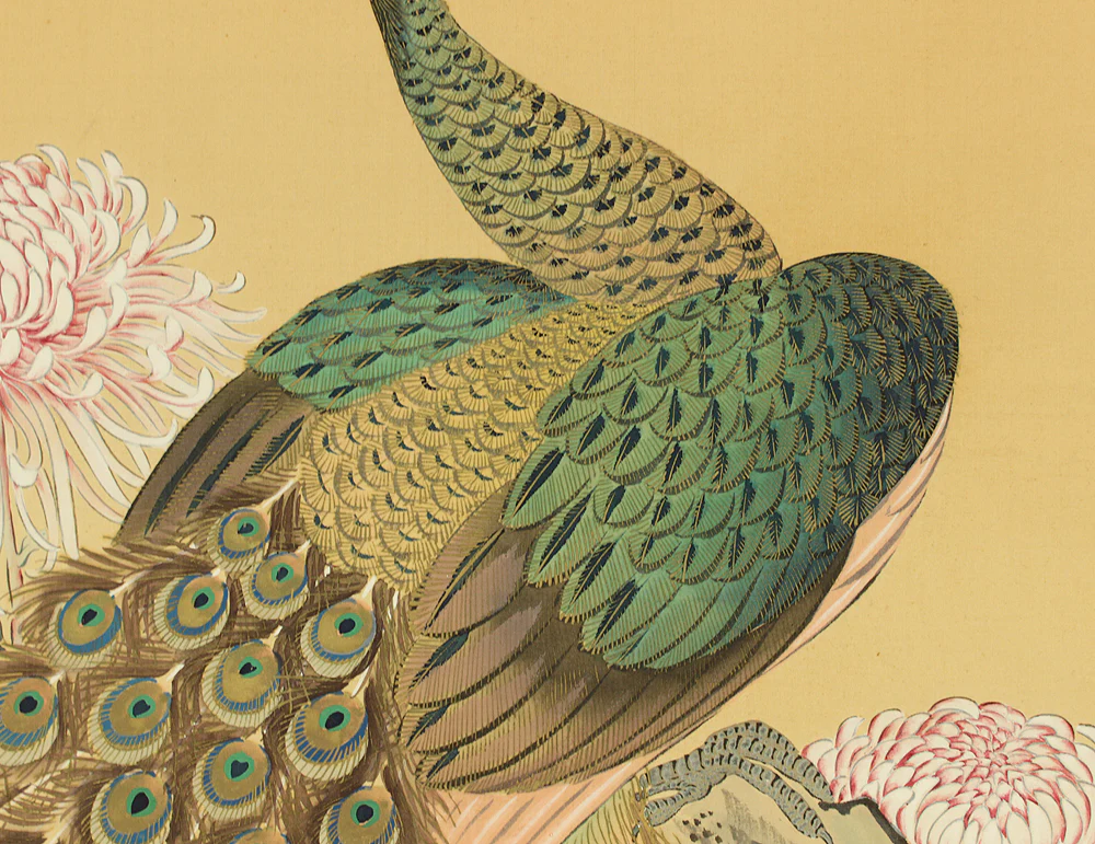 松僊 Shosen Japanese art kakejiku kakemono wall hanging scroll / Two Peafowls Peacock Large and Small Chrysanthemums RC152 - Image 6