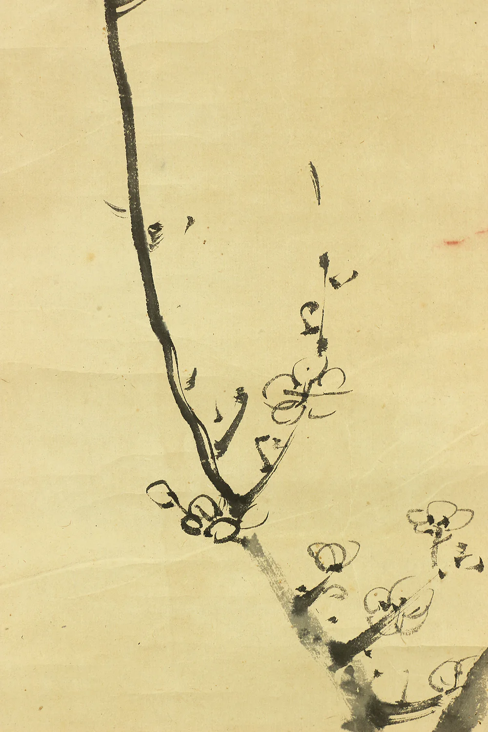 小迂 Shou Japanese antique art kakejiku kakemono wall hanging scroll / Ink Painting - White Plum Blossom with Box RC624 - Image 8