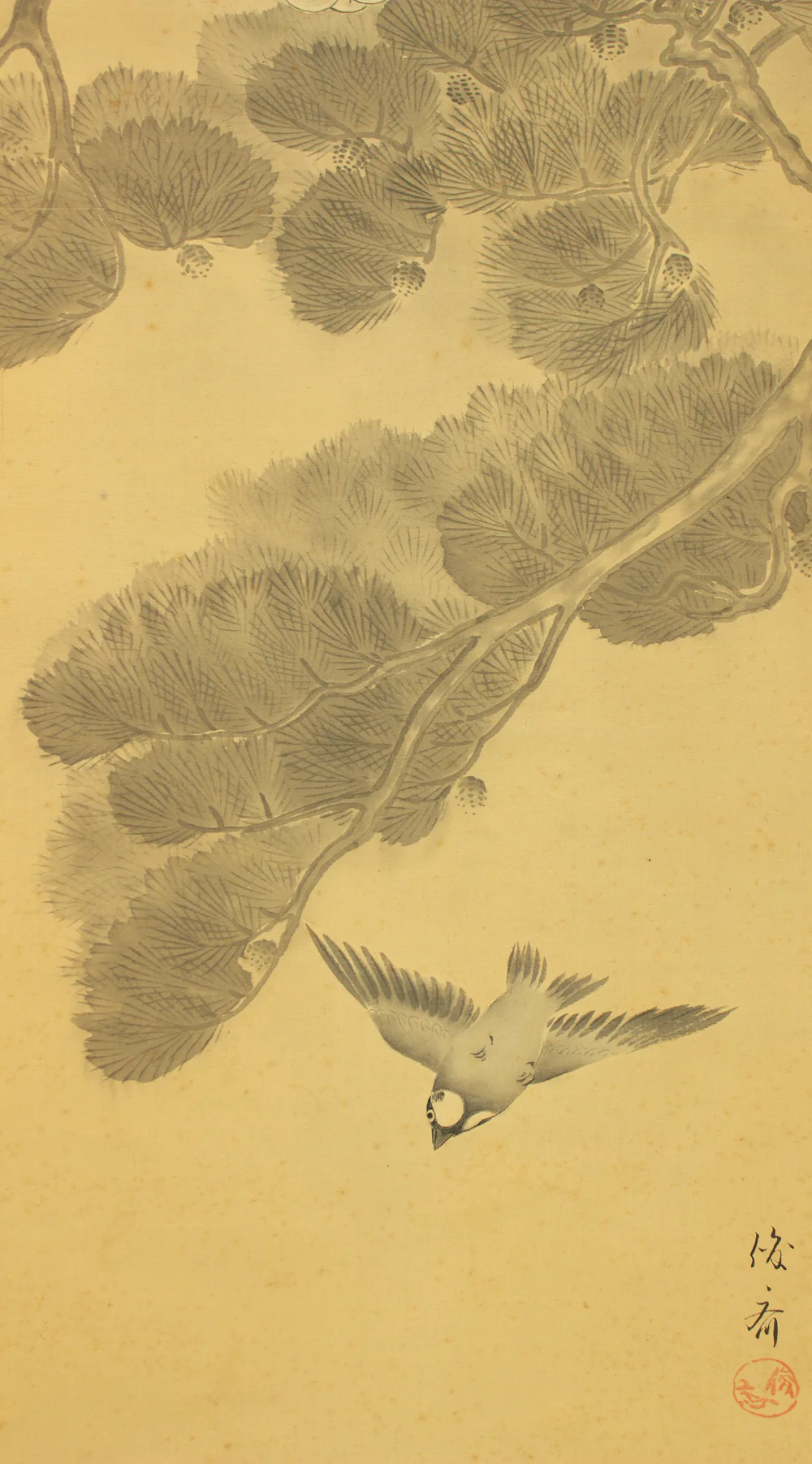 俊斎 Shunsai Japanese art kakejiku kakemono wall hanging scroll / Hawk Perching on Pine Tree and Small Bird with Box RD492 - Image 10