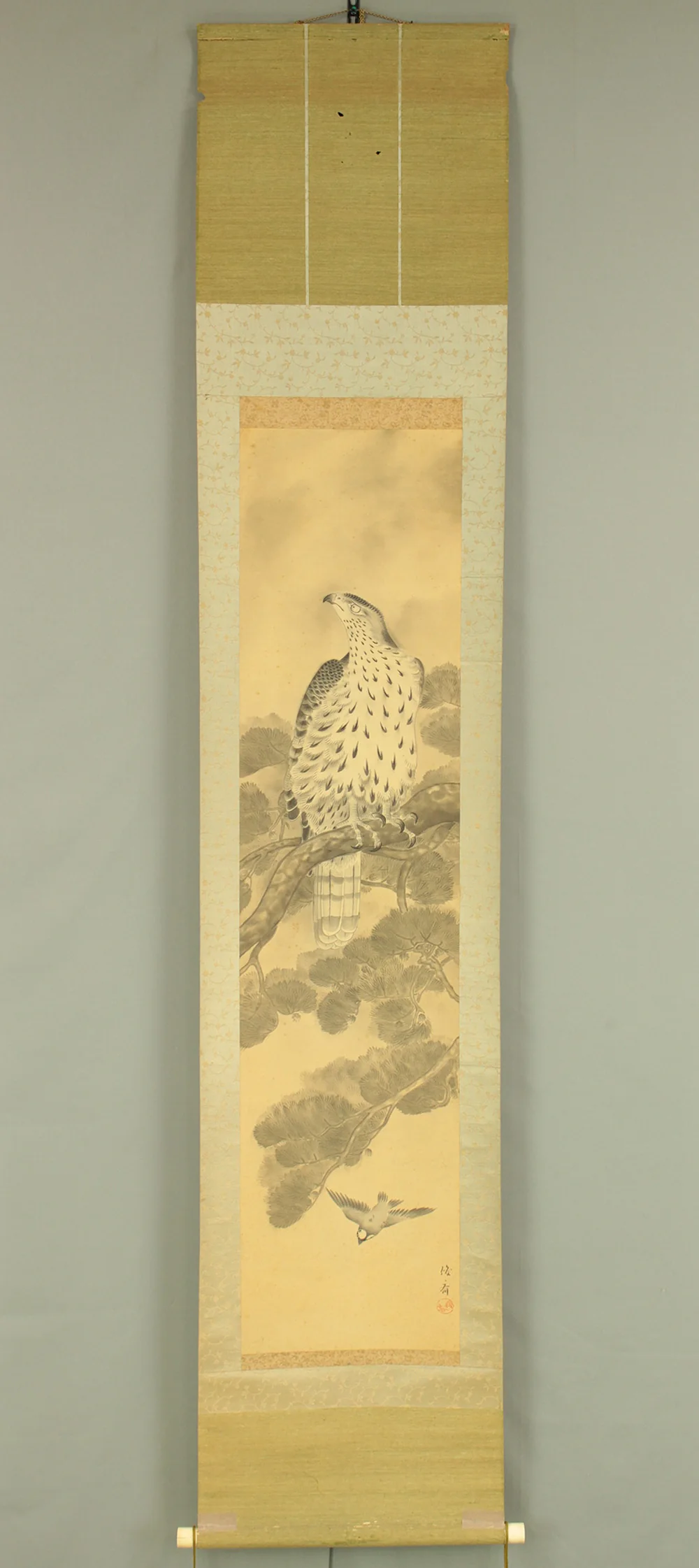 俊斎 Shunsai Japanese art kakejiku kakemono wall hanging scroll / Hawk Perching on Pine Tree and Small Bird with Box RD492 - Image 2