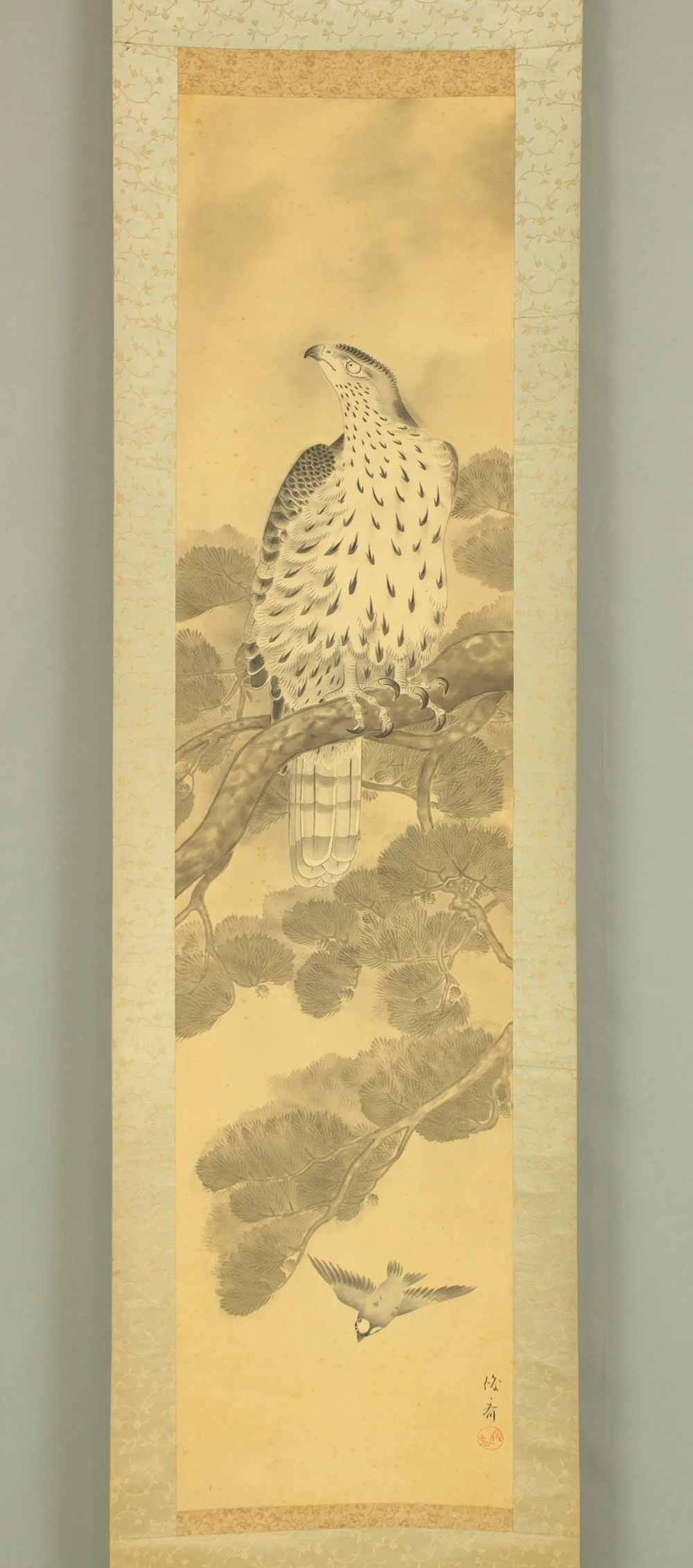 俊斎 Shunsai Japanese art kakejiku kakemono wall hanging scroll / Hawk Perching on Pine Tree and Small Bird with Box RD492 - Image 3