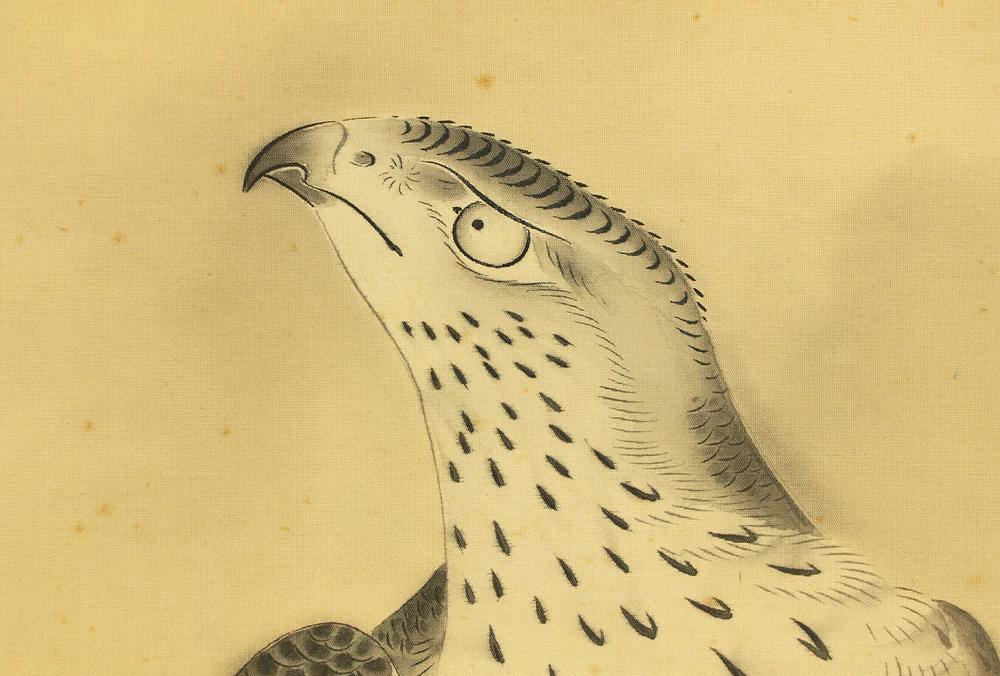 俊斎 Shunsai Japanese art kakejiku kakemono wall hanging scroll / Hawk Perching on Pine Tree and Small Bird with Box RD492 - Image 6
