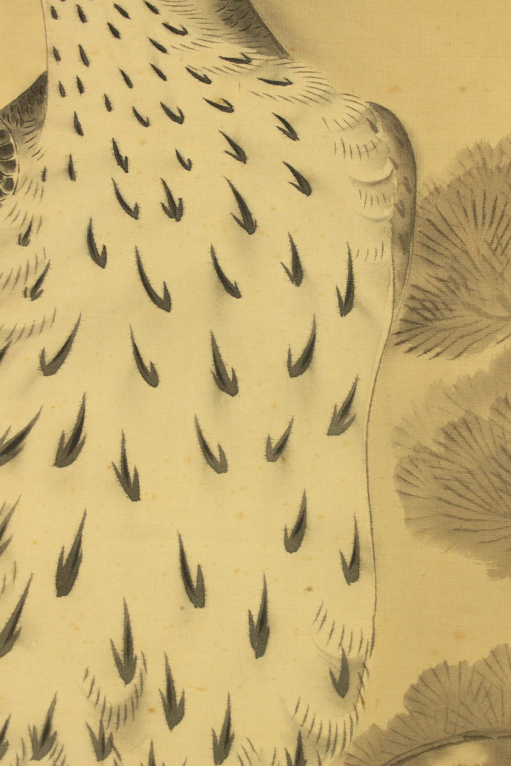 俊斎 Shunsai Japanese art kakejiku kakemono wall hanging scroll / Hawk Perching on Pine Tree and Small Bird with Box RD492 - Image 8
