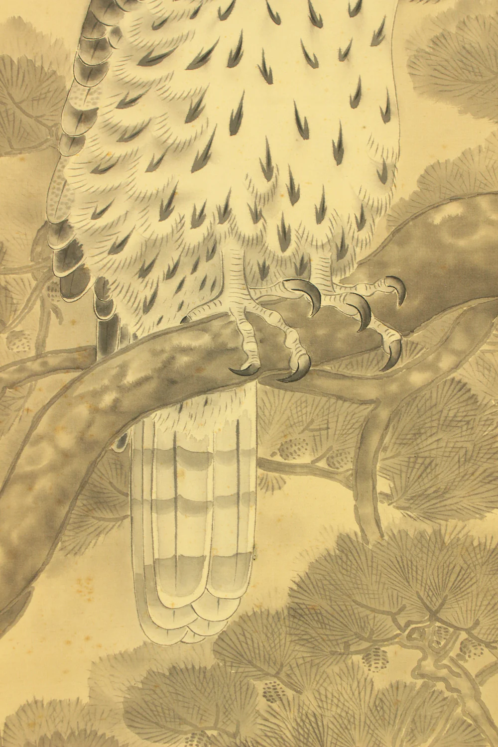 俊斎 Shunsai Japanese art kakejiku kakemono wall hanging scroll / Hawk Perching on Pine Tree and Small Bird with Box RD492 - Image 9