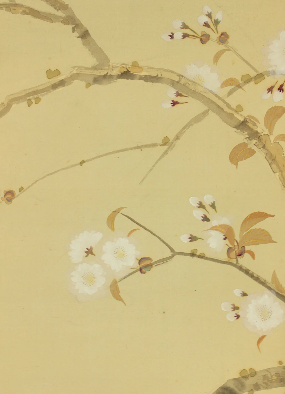 秀林 Shurin Japanese art kakejiku kakemono wall hanging scroll / Sleeping Pheasant, Cherry Blossoms, Pine Tree with Box RD757 - Image 7