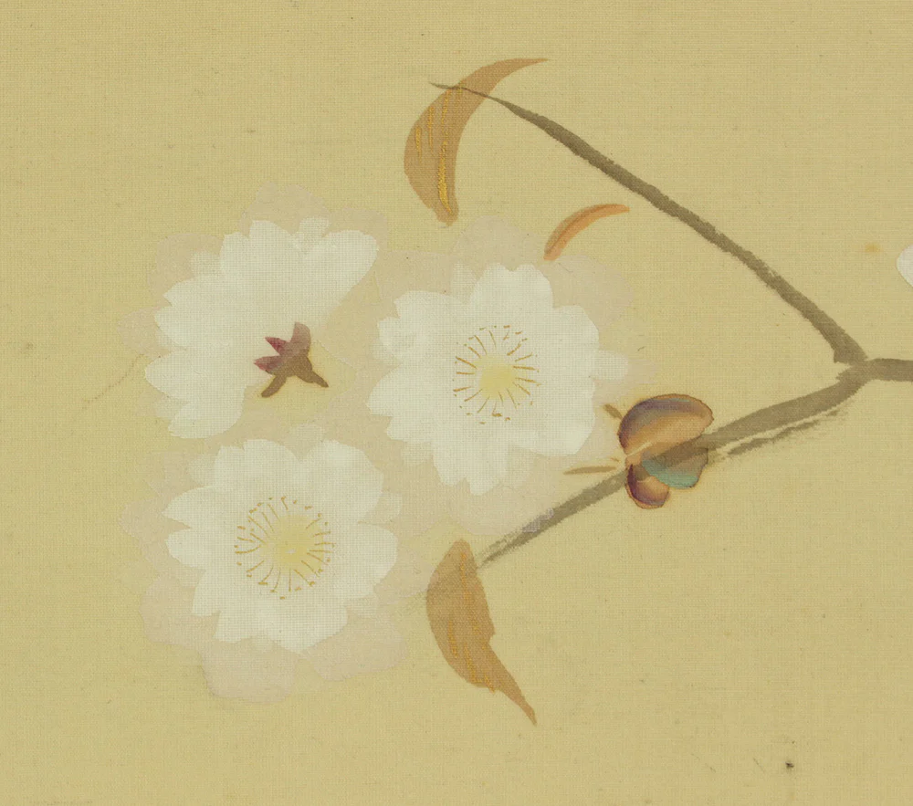 秀林 Shurin Japanese art kakejiku kakemono wall hanging scroll / Sleeping Pheasant, Cherry Blossoms, Pine Tree with Box RD757 - Image 8