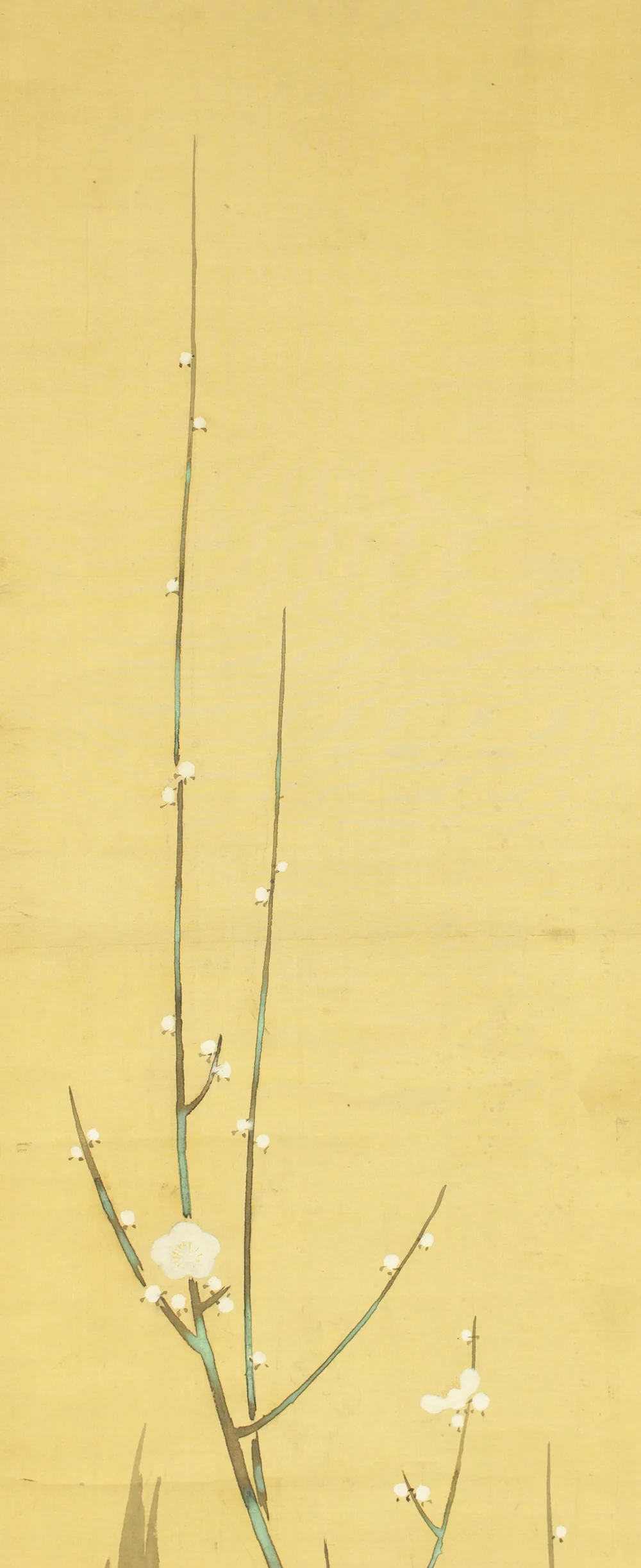 Attributed to 尾形光琳 Ogata Korin (1658-1716) Japanese antique art kakejiku kakemono wall hanging scroll / White Plum Tree with Box RD258 - Image 4