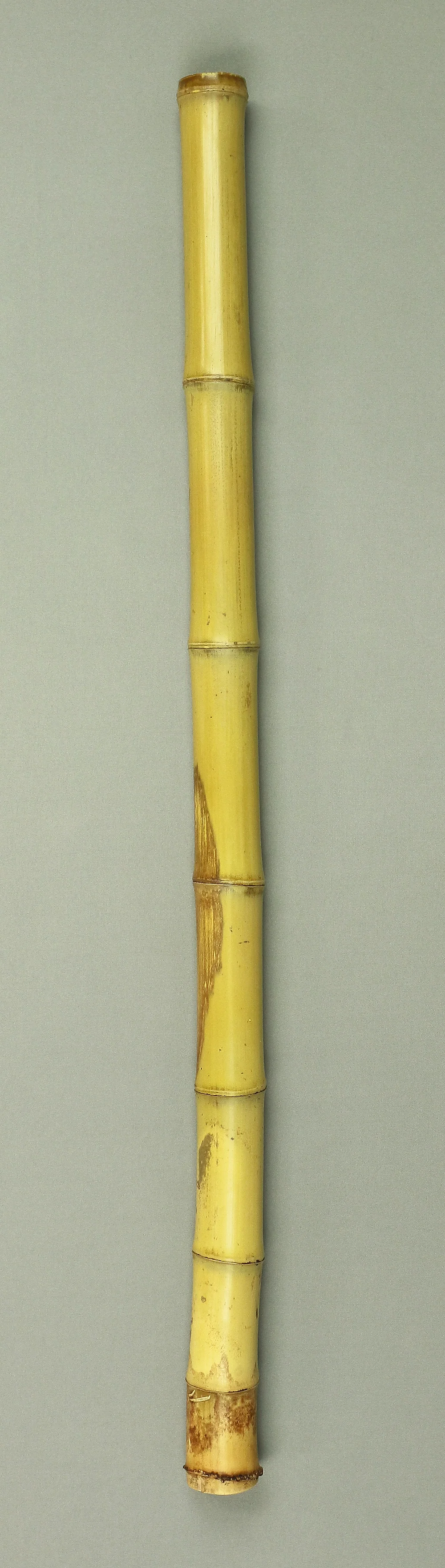 Bamboo (Madake) for making Shakuhachi flute 29.2" Length x 1.6" Width / 74.2cm x 4.1cm S225 - Image 2