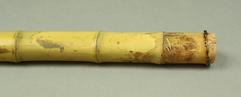 Bamboo (Madake) for making Shakuhachi flute 29.2" Length x 1.6" Width / 74.2cm x 4.1cm S225 - Image 4