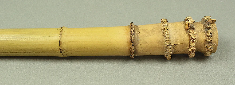 Bamboo (Madake) for making Shakuhachi flute 30" Length x 2.1" Width / 76.2cm x 5.3cm S226 - Image 7