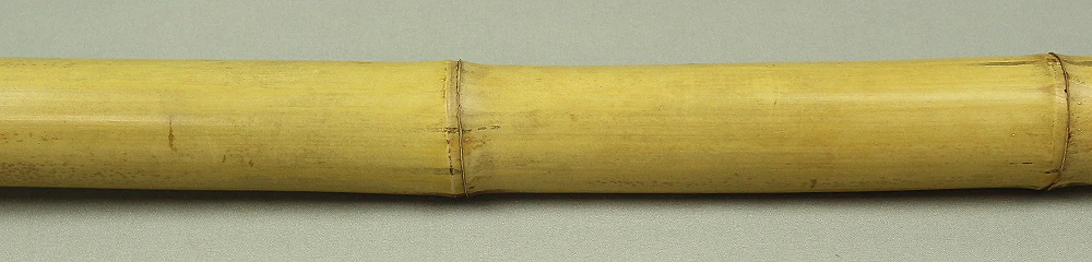Bamboo (Madake) for making Shakuhachi flute 32.6" Length x 1.7" Width / 82.8cm x 4.3cm S228 - Image 5