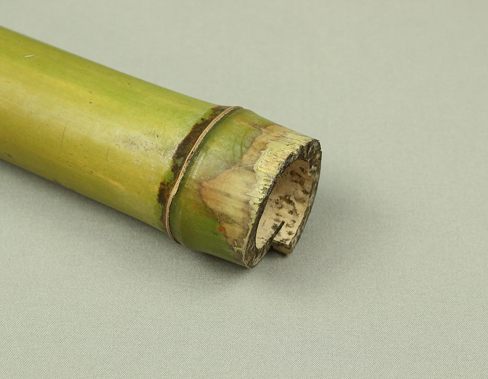 Bamboo (Madake) for making Shakuhachi flute 34.9" Length x 2.4" Width / 88.6cm x 6.2cm S229 - Image 10