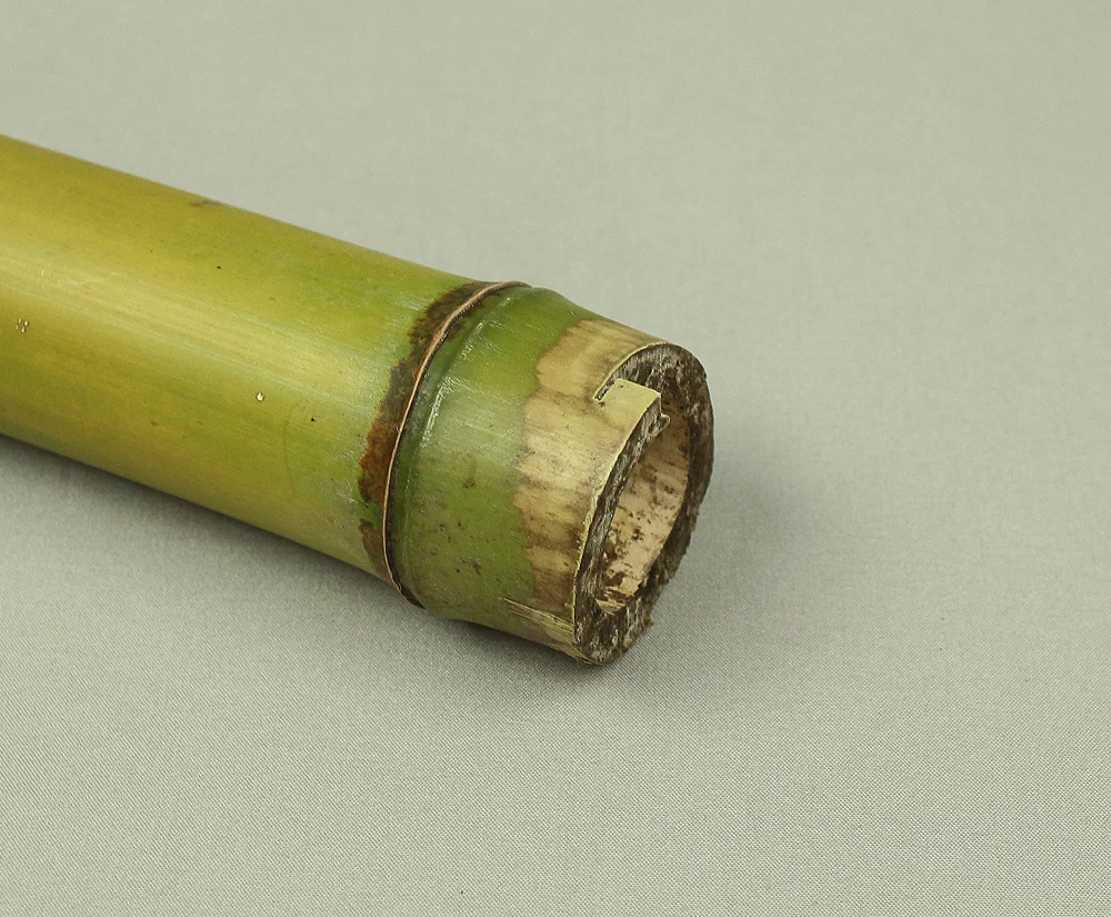 Bamboo (Madake) for making Shakuhachi flute 34.9" Length x 2.4" Width / 88.6cm x 6.2cm S229 - Image 11
