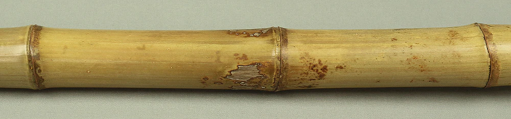 Bamboo (Madake) for making Shakuhachi flute 34.9" Length x 2.4" Width / 88.6cm x 6.2cm S229 - Image 5