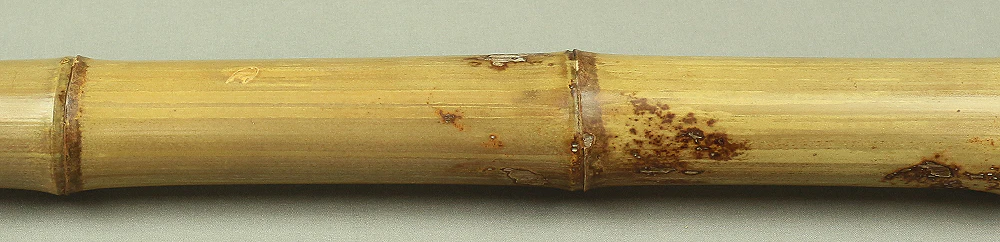 Bamboo (Madake) for making Shakuhachi flute 34.9" Length x 2.4" Width / 88.6cm x 6.2cm S229 - Image 8