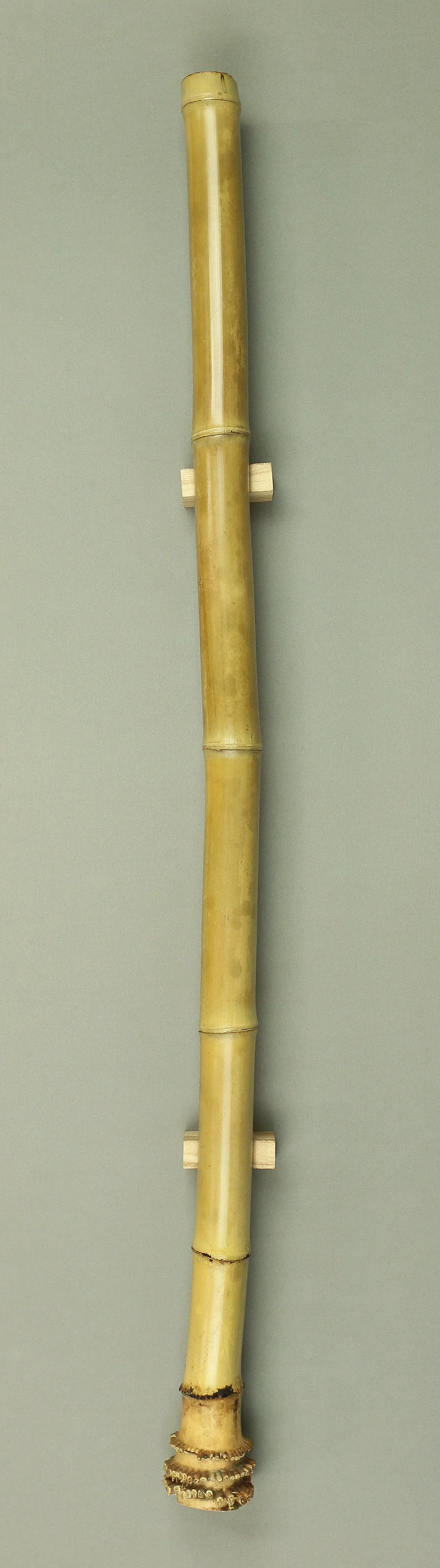 Bamboo (Madake) for making Shakuhachi flute 35.7" Length x 2.2" Width / 90.7cm x 5.5cm S230 - Image 3