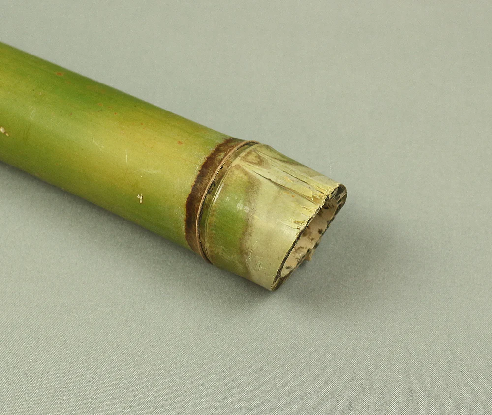 Bamboo (Madake) for making Shakuhachi flute 41.1" Length x 2.1" Width / 104.5cm x 5.3cm S232 - Image 11