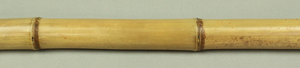 Bamboo (Madake) for making Shakuhachi flute 41.1" Length x 2.1" Width / 104.5cm x 5.3cm S232 - Image 5