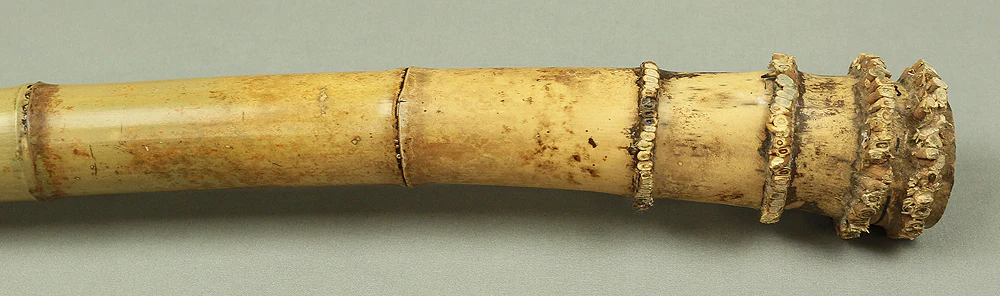 Bamboo (Madake) for making Shakuhachi flute 41.1" Length x 2.1" Width / 104.5cm x 5.3cm S232 - Image 7