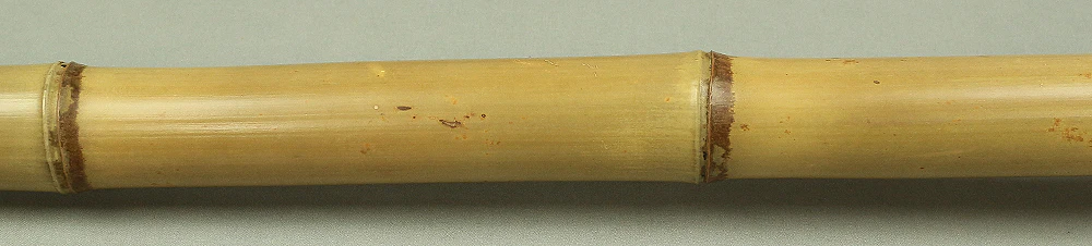 Bamboo (Madake) for making Shakuhachi flute 41.1" Length x 2.1" Width / 104.5cm x 5.3cm S232 - Image 8