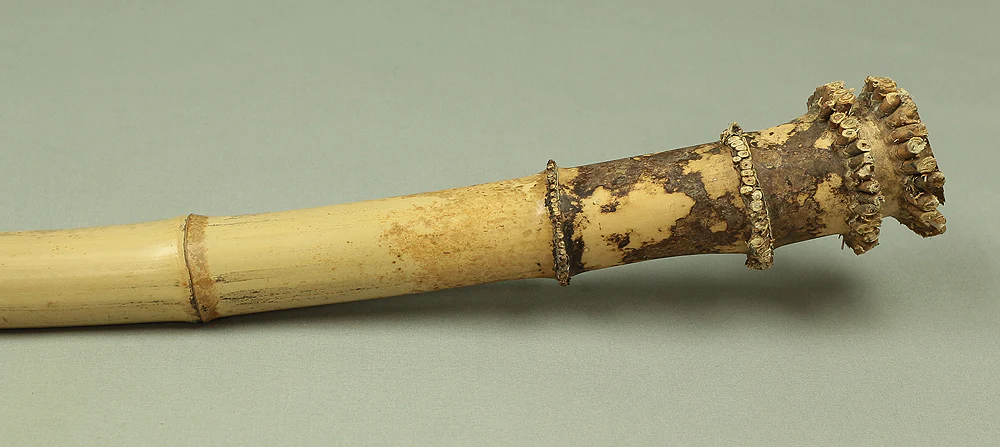 Bamboo (Madake) for making Shakuhachi flute 41.8" Length x 2.2" Width / 106.2cm x 5.5cm S233 - Image 4