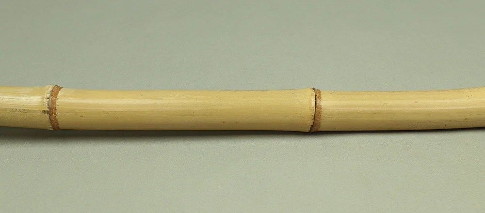 Bamboo (Madake) for making Shakuhachi flute 41.8" Length x 2.2" Width / 106.2cm x 5.5cm S233 - Image 5