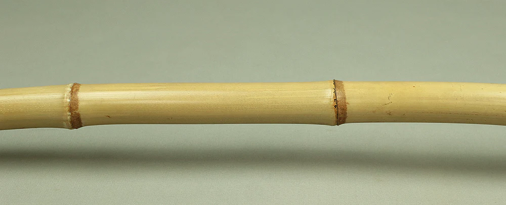 Bamboo (Madake) for making Shakuhachi flute 41.8" Length x 2.2" Width / 106.2cm x 5.5cm S233 - Image 8