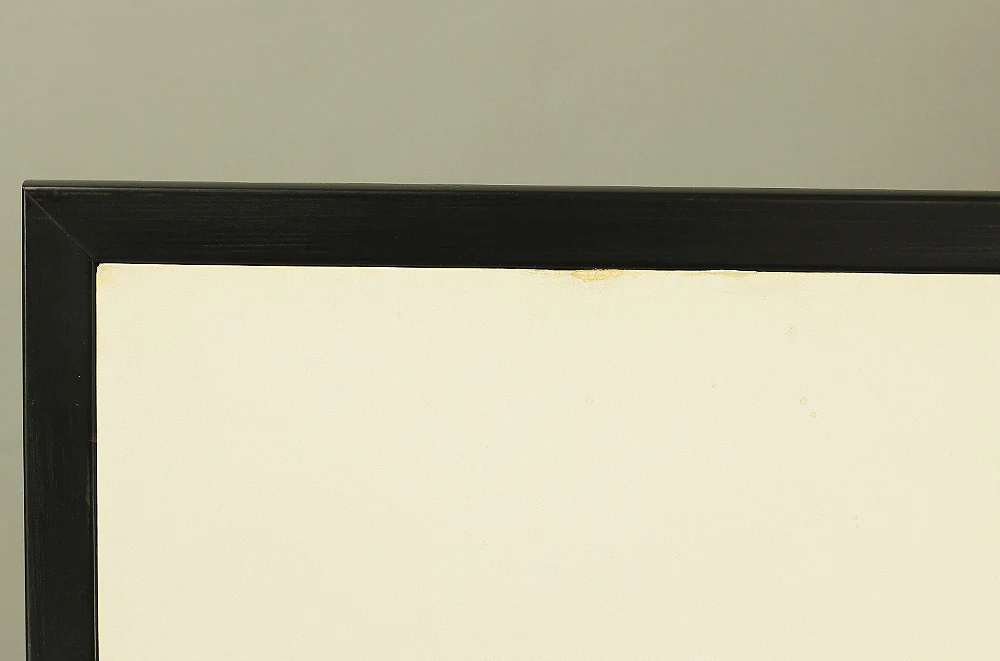 Byobu Folding Screen Room divider 2 panels / 'Plane - Silver Flowers Dancing in Wind' VA297 - Image 31