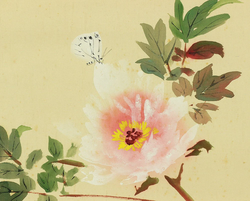 今井景樹 IMAI KEIJU Japanese art kakejiku kakemono wall hanging scroll Peony & White Butterfly Original wooden box 1891~1967, Shijo school I559 - Image 6