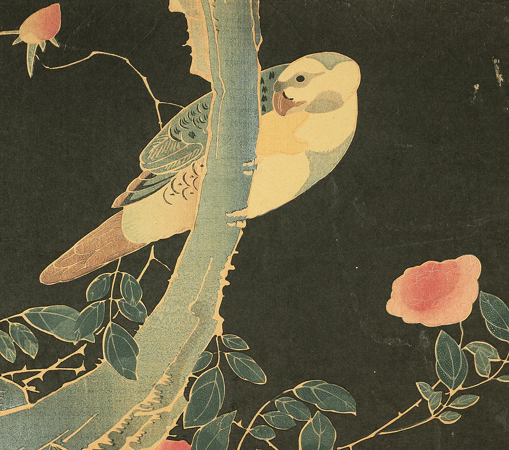 Ito Jakuchu 伊藤若冲 (1716-1800) 'Roses and Parrot' 薔薇に鸚哥図 from the set of six Flowers and Birds prints OW191 - Image 3