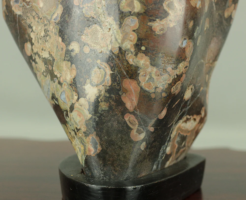 Kikkaseki 'Chrysanthemum Stone' Japanese Viewing Stone Suiseki Bonsai Display with Stand VA130 - Image 5