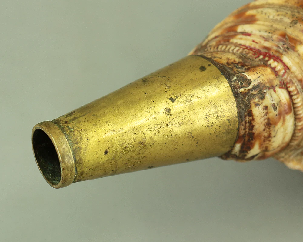 Large Trumpet shell Horagai 法螺貝 Japanese Traditional Instrument with Red Net V788 - Image 13