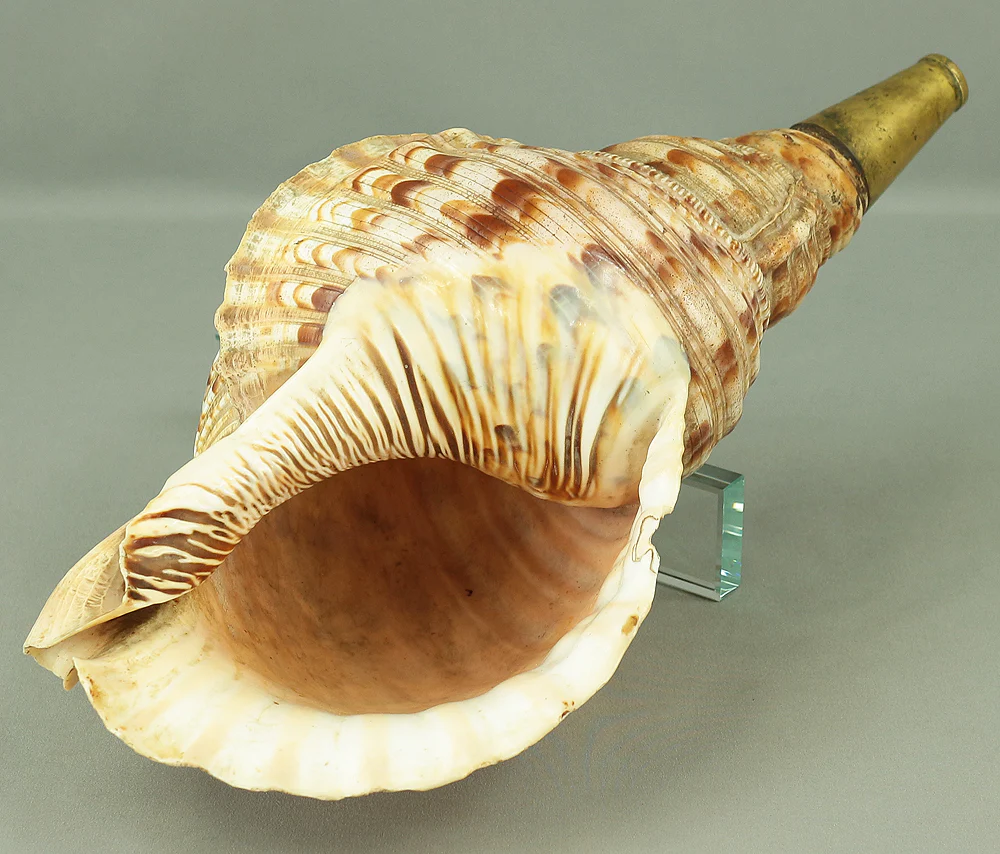 Large Trumpet shell Horagai 法螺貝 Japanese Traditional Instrument with Red Net V788 - Image 2