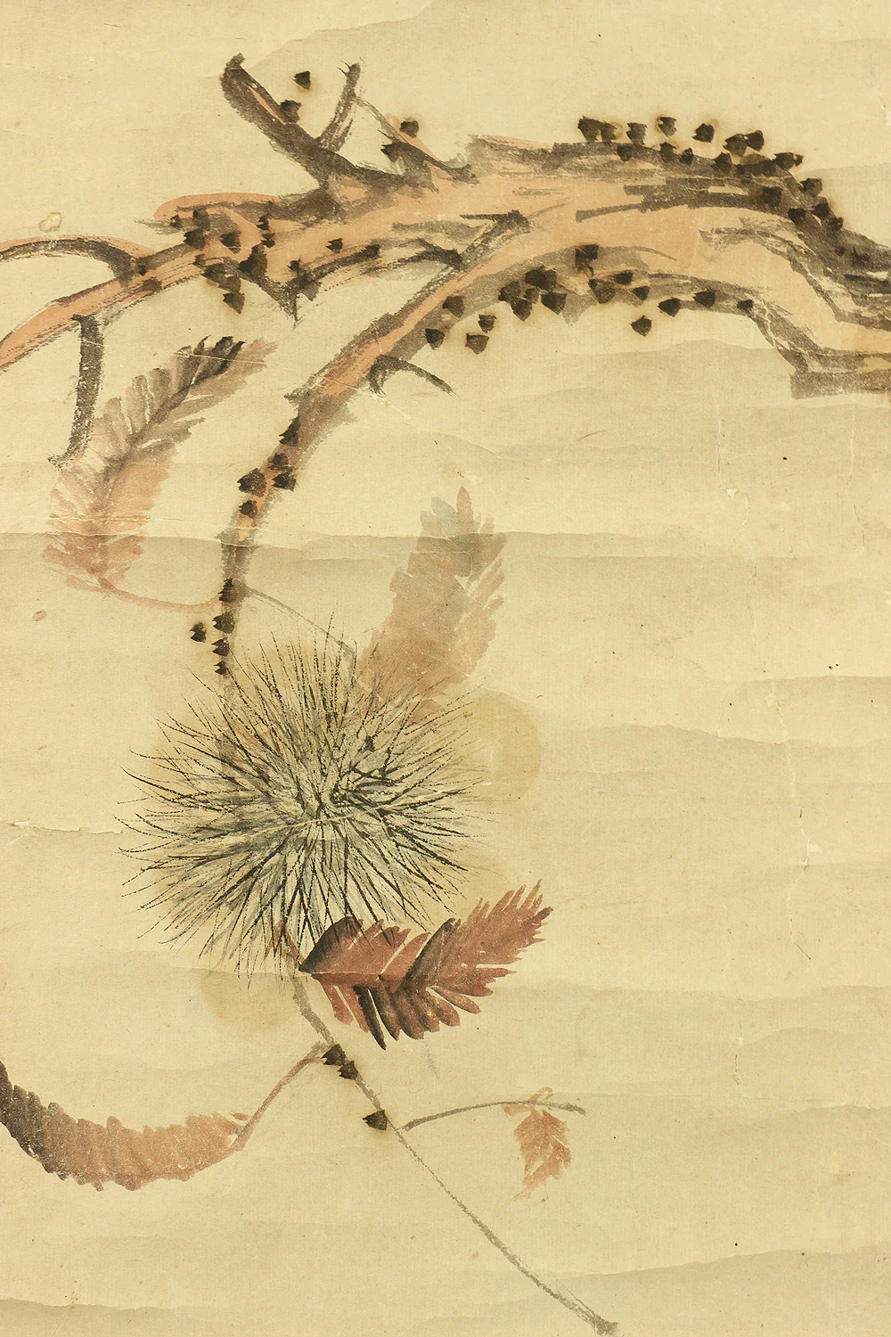 森祖仙 MORI SOSEN Japanese antique kekemono kakejiku hanging scroll / Monkey on Chestnut Tree Box I504 / 1747~1821,founder of Mori school - Image 11
