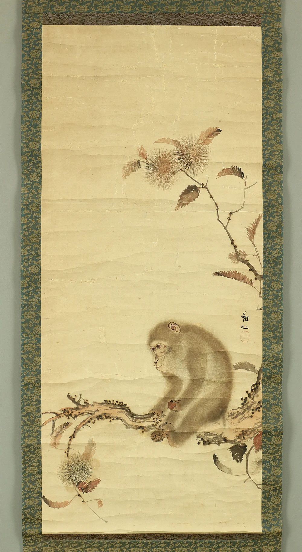 森祖仙 MORI SOSEN Japanese antique kekemono kakejiku hanging scroll / Monkey on Chestnut Tree Box I504 / 1747~1821,founder of Mori school - Image 3