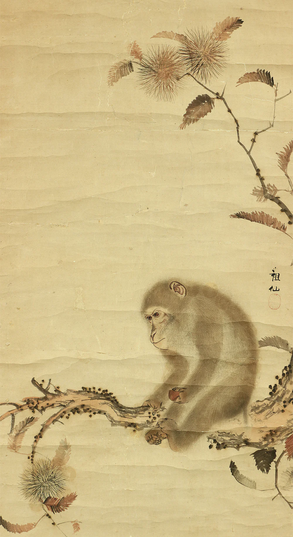 森祖仙 MORI SOSEN Japanese antique kekemono kakejiku hanging scroll / Monkey on Chestnut Tree Box I504 / 1747~1821,founder of Mori school - Image 5