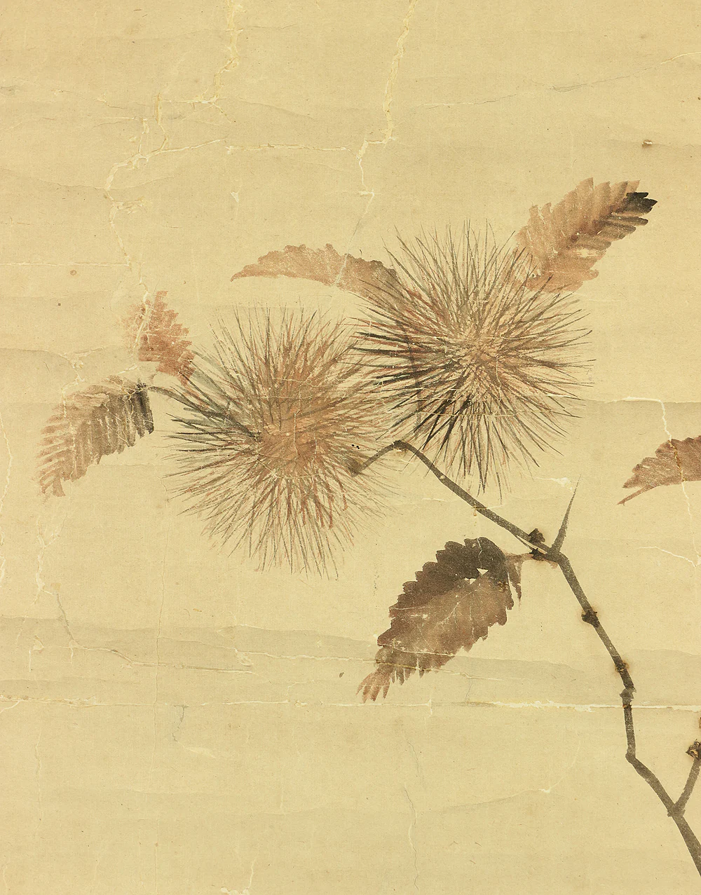 森祖仙 MORI SOSEN Japanese antique kekemono kakejiku hanging scroll / Monkey on Chestnut Tree Box I504 / 1747~1821,founder of Mori school - Image 6