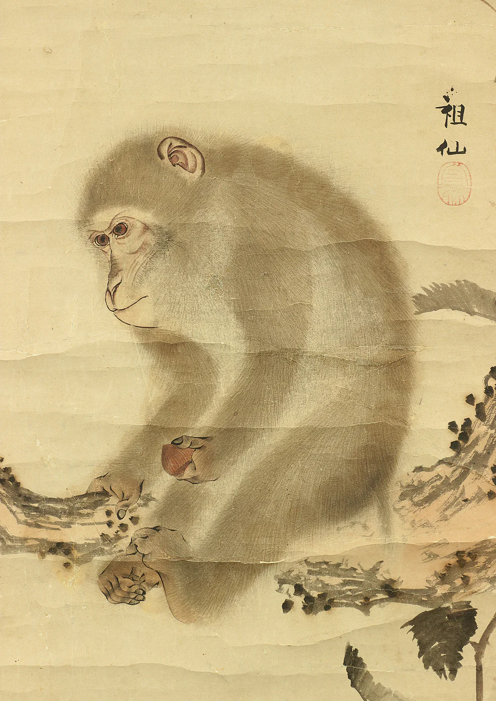 森祖仙 MORI SOSEN Japanese antique kekemono kakejiku hanging scroll / Monkey on Chestnut Tree Box I504 / 1747~1821,founder of Mori school - Image 7