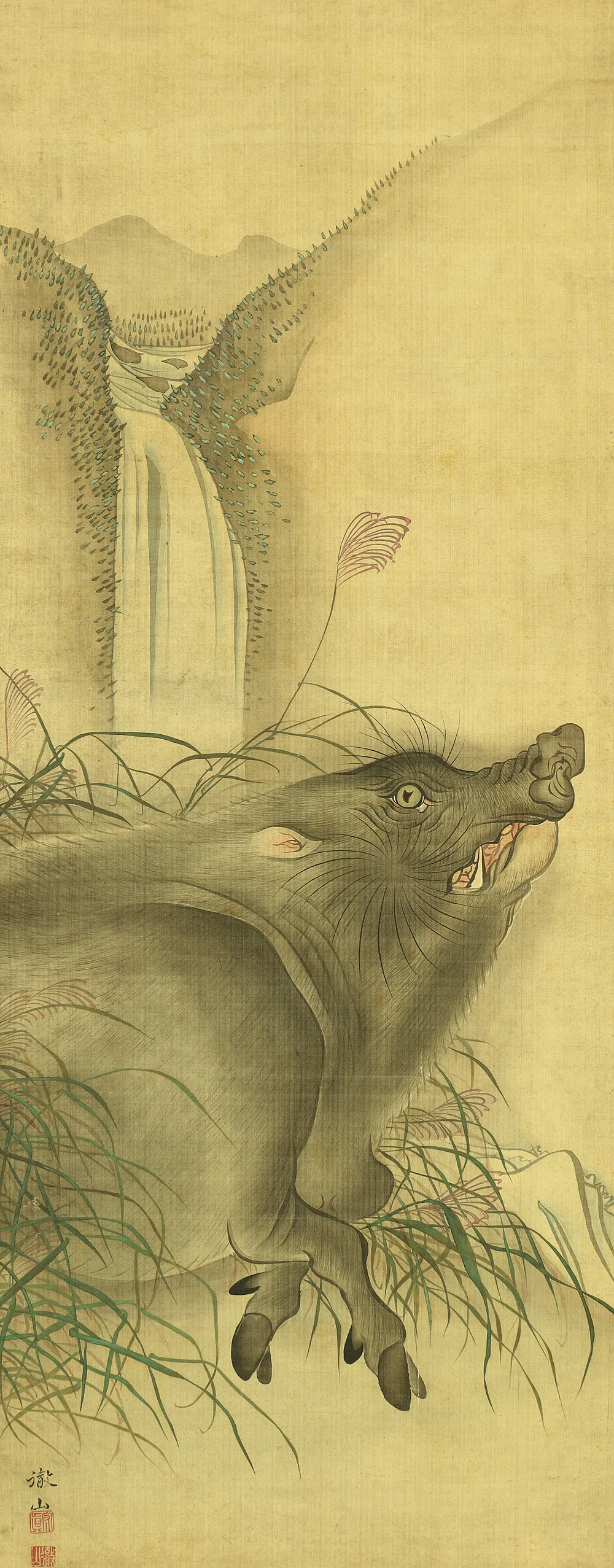 森徹山 MORI TETSUZAN 1775~1841 "Wild Bore & Waterfall" with Box / Japanese antique art kakejiku kakemono wall hanging scroll painting - Image 5