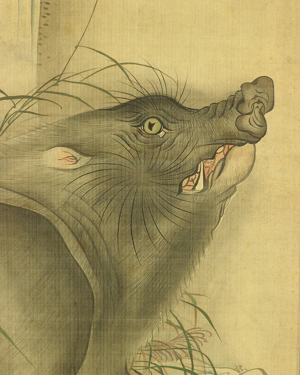 森徹山 MORI TETSUZAN 1775~1841 "Wild Bore & Waterfall" with Box / Japanese antique art kakejiku kakemono wall hanging scroll painting - Image 7