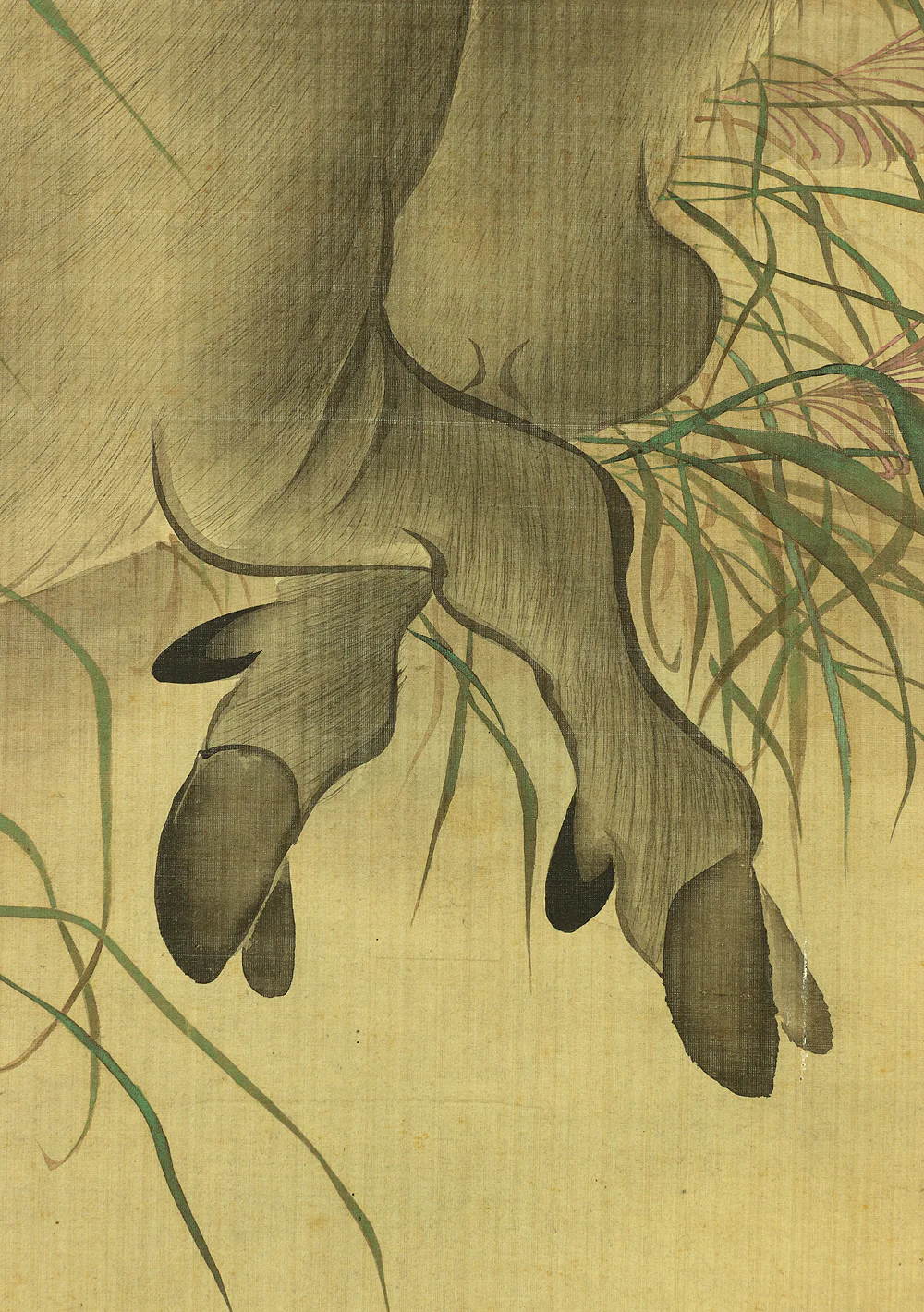 森徹山 MORI TETSUZAN 1775~1841 "Wild Bore & Waterfall" with Box / Japanese antique art kakejiku kakemono wall hanging scroll painting - Image 8