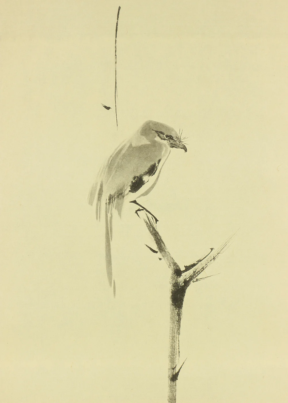 Order item: Reproduction Print 宮本武蔵 Miyamoto Musashi Japanese art kakejiku kakemono wall hanging scroll / Shrike on Bare Tree with Box RC181 - Image 5