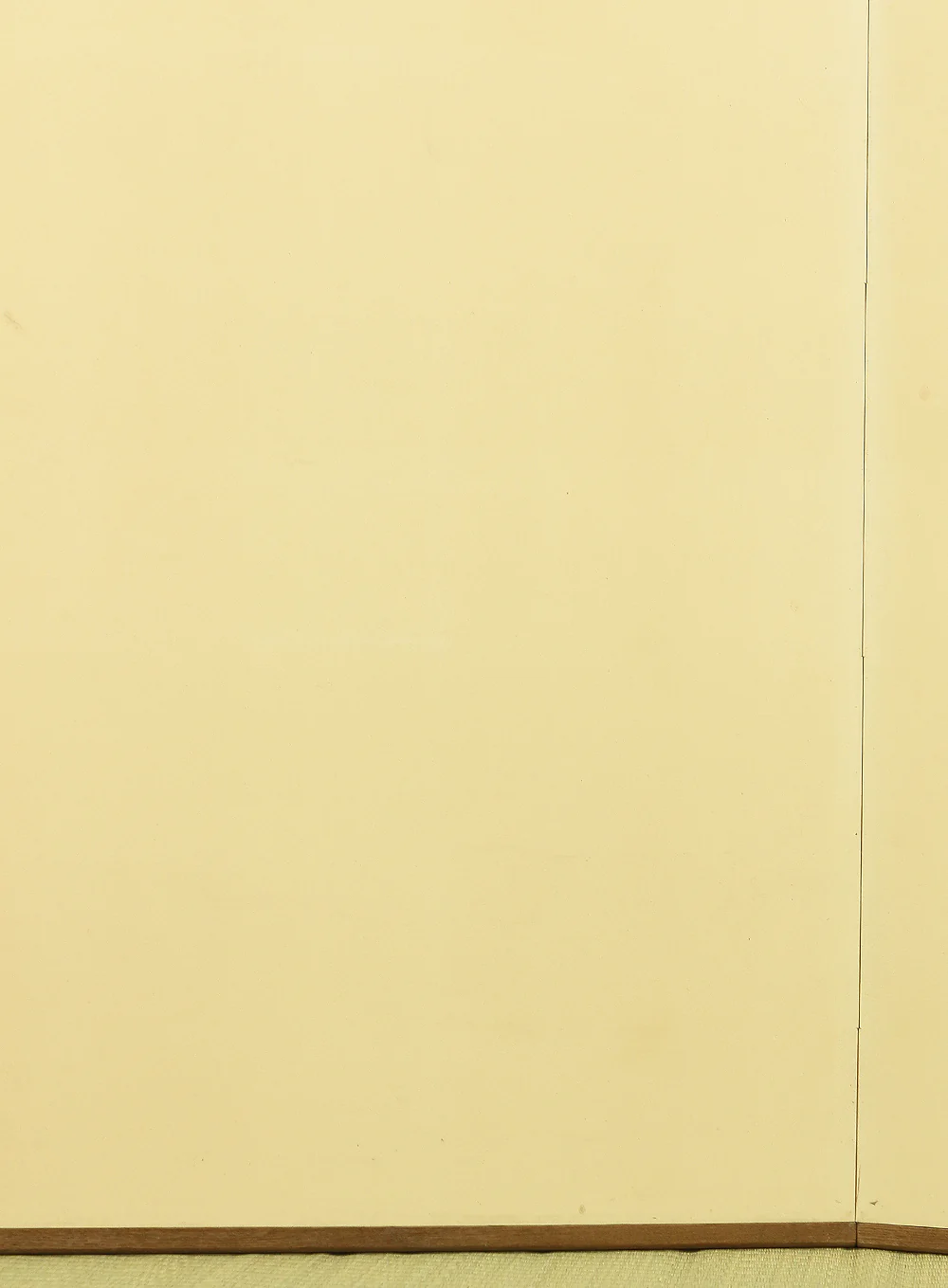 Plain White Paper Byobu Folding Screen Two Panels Room Dividers VA469 - Image 10
