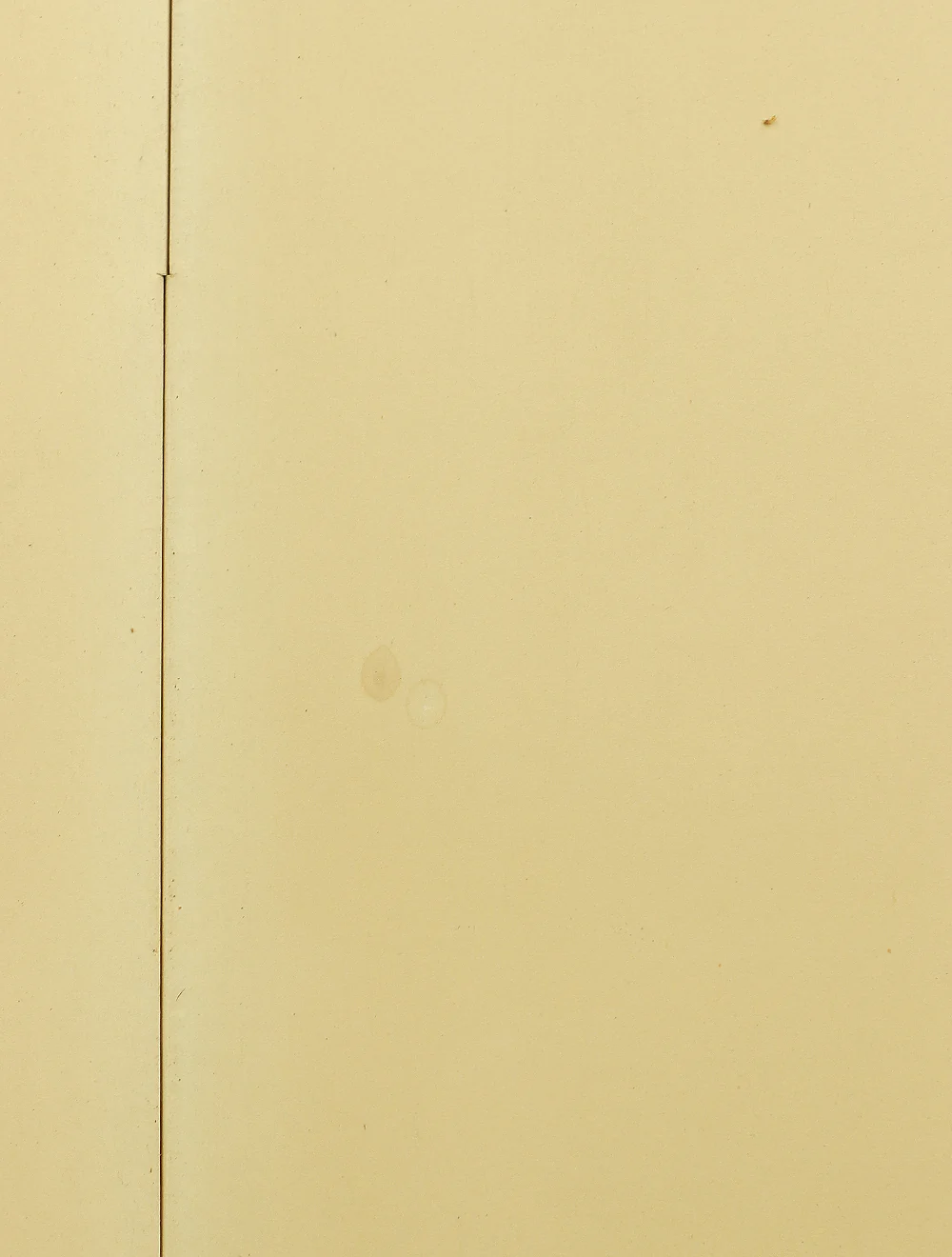 Plain White Paper Byobu Folding Screen Two Panels Room Dividers VA469 - Image 12